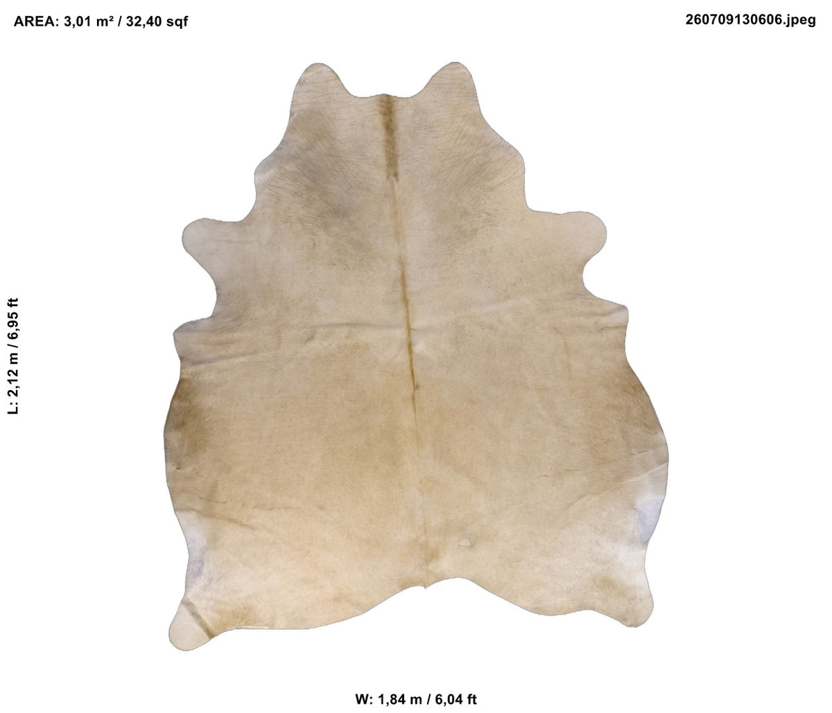 Beige 6,95" L x 6,04" W