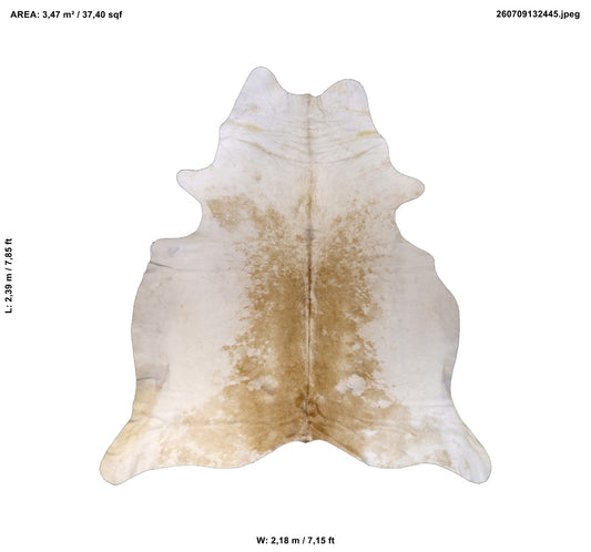 Beige 7,85" L x 7,15" W