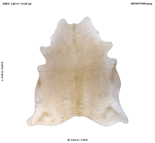 Beige 8,02" L x 7,35" W