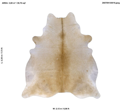 Beige 7,73" L x 6,96" W
